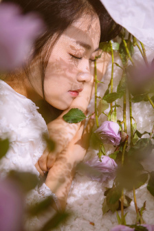 淑女